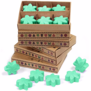 Boîte de 6 Fondants en Cire Soja - Jardin Caché