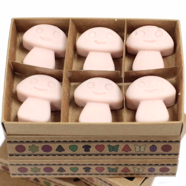 Gavesett med Duftvoks Melts - Old Ginger 6Stk. - Bilde 2
