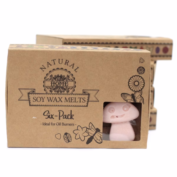 Gavesett med Duftvoks Melts - Old Ginger 6Stk.