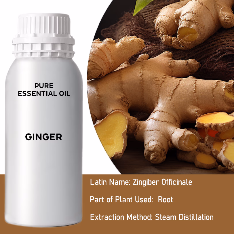 Ginger Pure Essential Oil 500ml