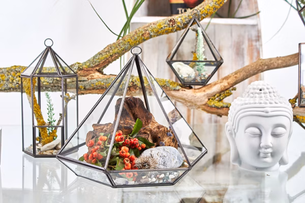 Glass Terrarium - Diamant Liten - Bilde 3