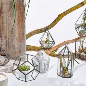 Glass Terrarium - Small Diamond