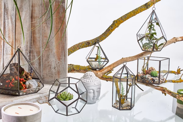 Glass Terrarium - Diamant Liten - Bilde 4