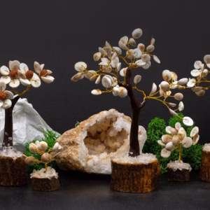 Gomati Chakra Circle Stone Trees - Sæt - 4stk