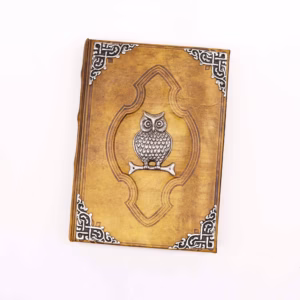 Notizbuch - Hefty - Eule Zink - 26x18cm