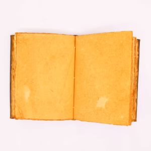 Notizbuch - Hefty - Eule Zink - 26x18cm