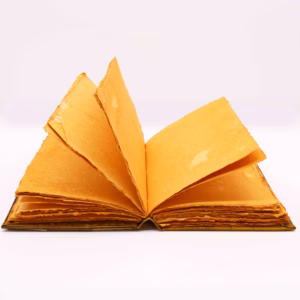 Notizbuch - Hefty - Eule Zink - 26x18cm