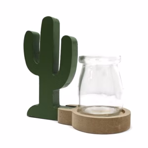 Hydroponic Home Décor - Cactus Pot
