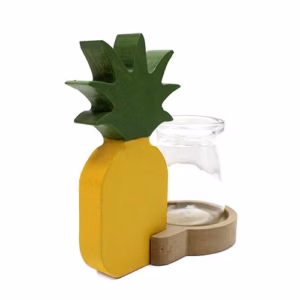 Hydroponic Home Décor - Pineapple Pot