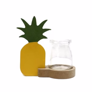 Hydroponisk Hjemmedekor - Peanaple Pot