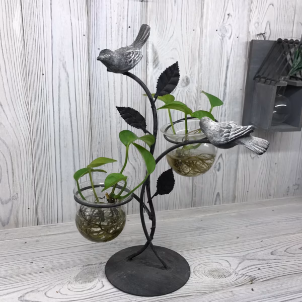 Hydroponic Home Décor - Two Pots And Birds