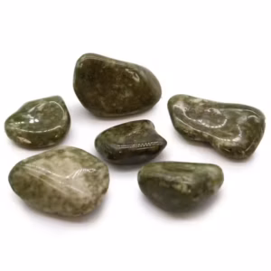 African Tumble Stones - Epidote Snowflake - Large - 6pcs