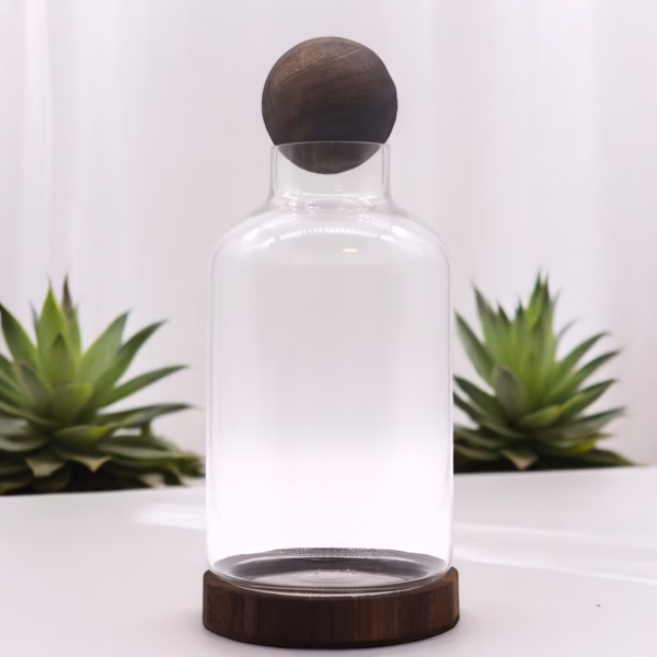Großes Terrarium Mit Kugeldeckel Auf Dunklem Tungholz – 16 X 32 Cm – Bild 3
