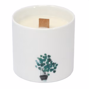 Botanische Soja Kaarsen - Wilde Jasmijn - Groot
