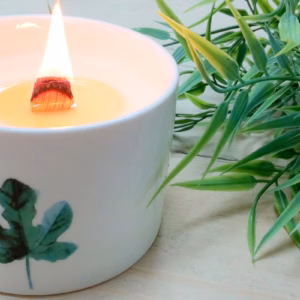 Botanische Soja Kaarsen - Wilde Jasmijn - Groot