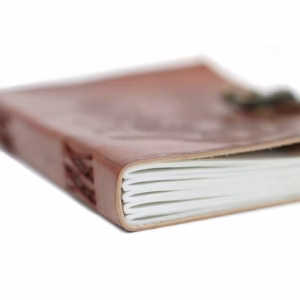 Leather Dragon Notebook - 20x15cm