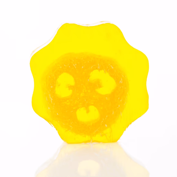 Loofah Soap Slice 100g - Grapefruit