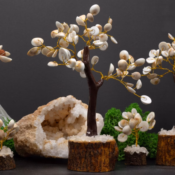 Gomati Chakra Circle Stone Trees - (60 Steiner) Stor - Bilde 2