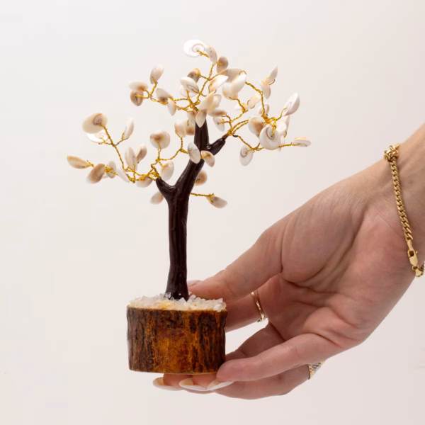 Gomati Chakra Circle Stone Trees - (60 Steiner) Stor - Bilde 4
