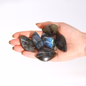 Madagascar Labradorite Leaf Stones - Approx. 13 - 20gms 40 - 50mm