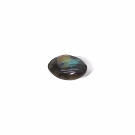 Madagaskar Labradoritt Palmesteiner (Ca. 17-40 G 35-50 mm)