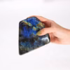 Madagascar Labradoriet Blikvangers (ca. 900-1100g 100-170mm) - Afbeelding 3