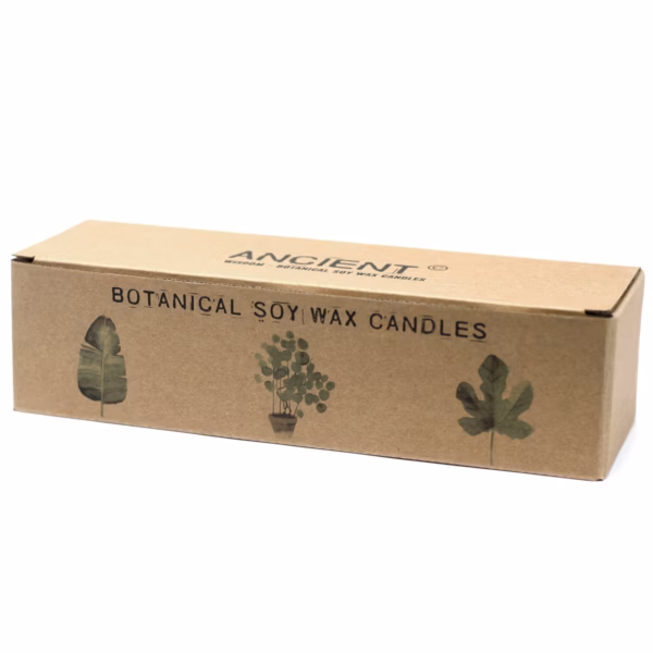 Botanical Candles - Sitronkaprifol Medium - Bilde 8
