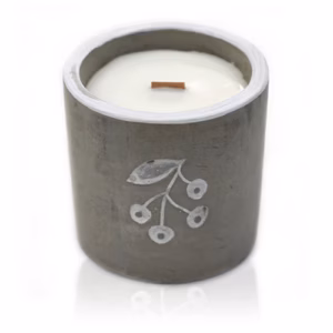 Concrete Soy Candle - Berrys - Juniper & Sweet Gin Medium