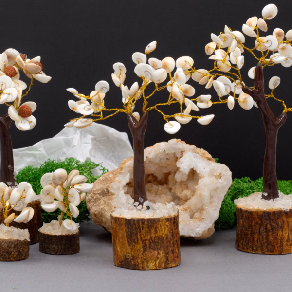 Gomati Chakra Circle Stone Trees - (45 Steiner) Medium - Bilde 2