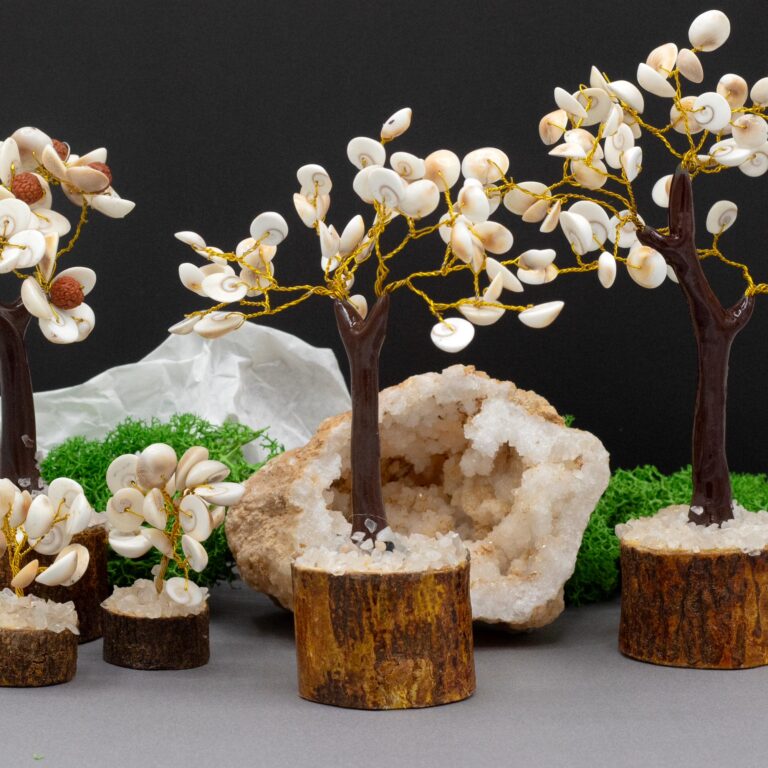 Med-Gomati-Chakra-Circle-Stone-Trees-45-stones
