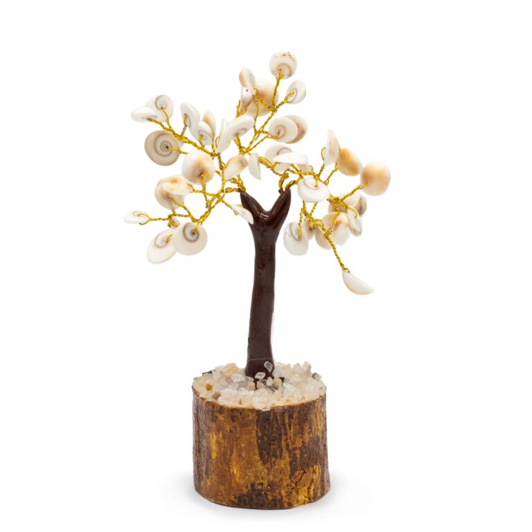 Med-Gomati-Chakra-Circle-Stone-Trees-45-stones