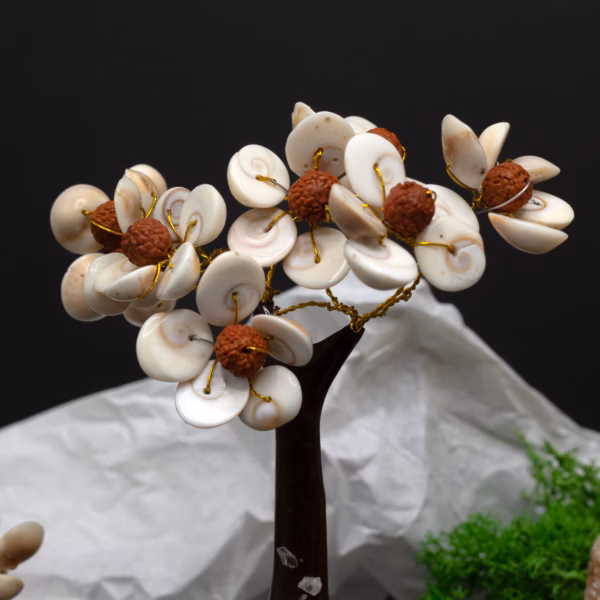 Gomati Chakra Circle Stone Trees Rudraksha - (45 Steiner) Medium - Bilde 2