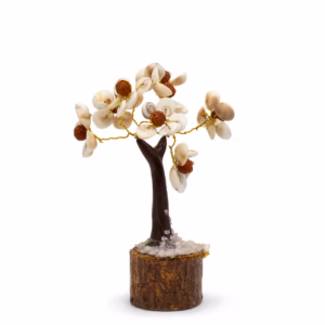 Gomati Chakra Circle Stone Trees Rudraksha - (45 Steiner) Medium