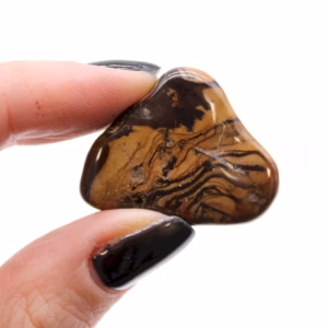 Afrikanska Tumlade Stenar - Bildjaspis Nguni - Medium - 12 st