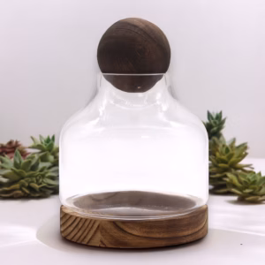 Ball Top Terarium on Dark Tung Wood - Medium