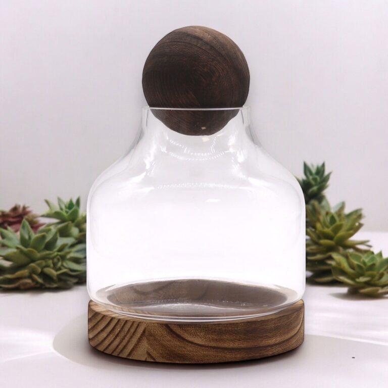 Medium-Ball-Top-Terarium-on-Dark-Tung-Wood-17x22cm