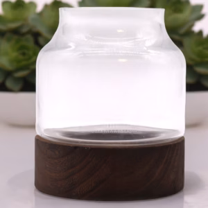 Mediumformet Terarium på Mørkt Tung - Træ - 16x18cm