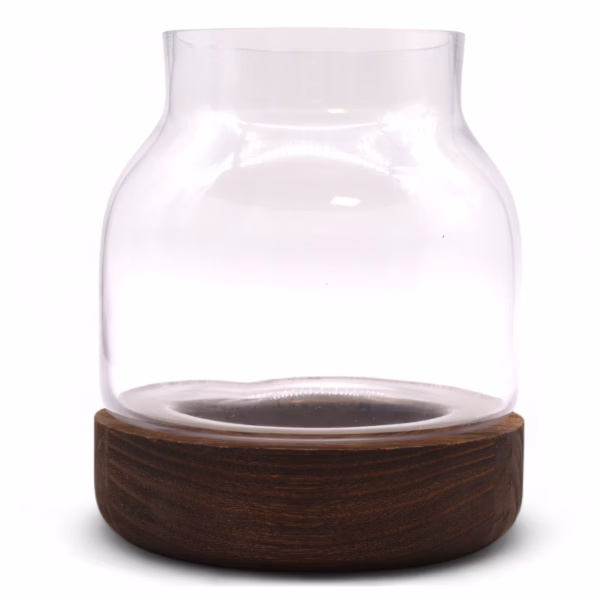 Mediumformet Terarium På Mørkt Tungtre - 16x18 cm