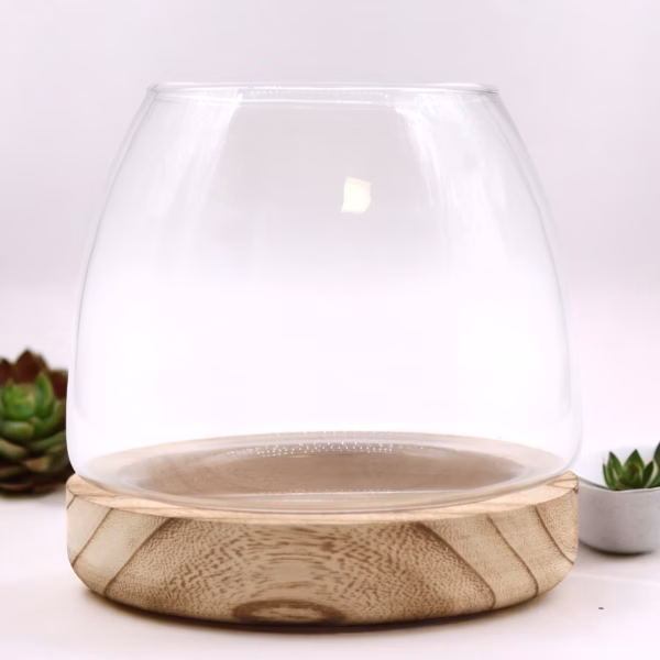 Medium Terrarium Op Natuurlijk Tung Hout - 15X15Cm - Afbeelding 2
