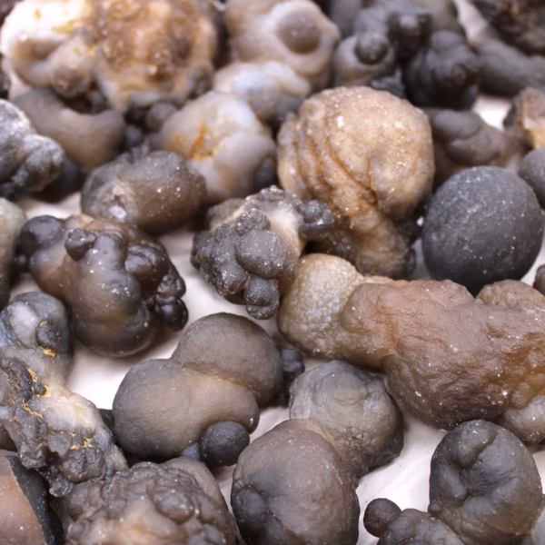 Exemplar Av Mineraler - Kalcedon (Ca 100 Stycken) - Bild 3