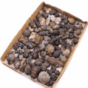 Mineralische Exemplare - Calsidone - Ca. 100 Stück