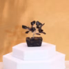Mini Gemstone Tree På Orgonittbase - Svart Agat (15 Steiner) - Bilde 5