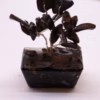 Mini Gemstone Tree På Orgonittbase - Svart Agat (15 Steiner) - Bilde 6