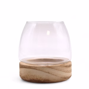 Mini Terrarium På Naturlig Tungtre - 10x10 cm