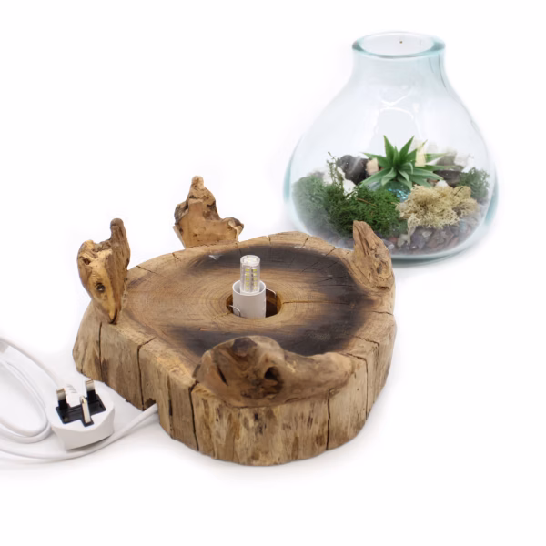 Pecera Grande De Vidrio Fundido - 32Cm - Imagen 6
