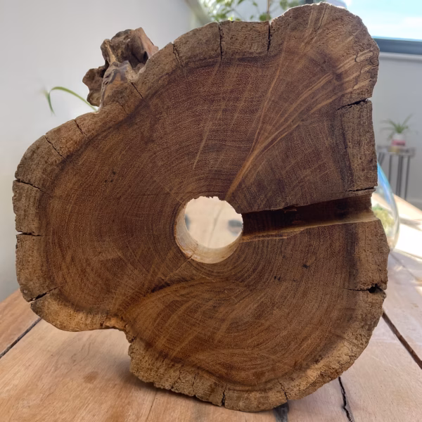 Pecera Grande De Vidrio Fundido - 32Cm - Imagen 10