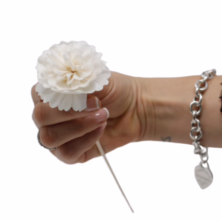 Natural-Diffuser-Flowers-Carnation-on-Reed