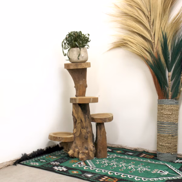 Natural Teak 4 Shelf Display 75cm high - Bilde 3