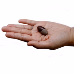 One Inch Lingam - 3 Stones