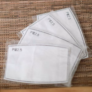 PM2.5 Face Covering Filter Insert - Adult